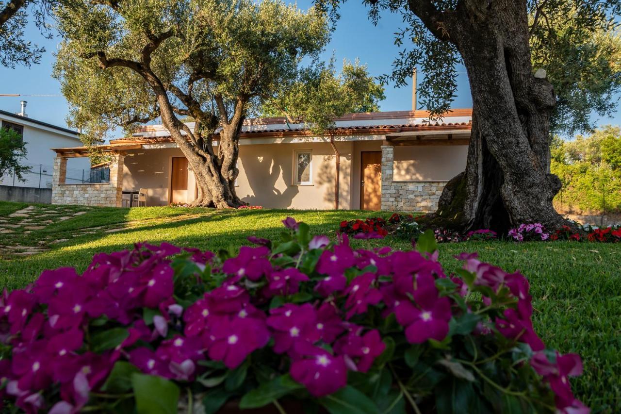 Il Mirto Residence Marina di Camerota Exterior foto